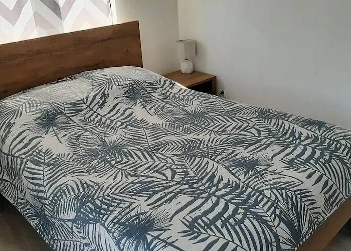 度假居 One-bedroom 斯维诺乌伊希切